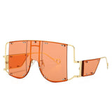 Square Over-sized Mirror Sunglasses - Biwav