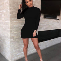 Turtleneck Bodycon Long Sleeve Knitted Sweater Mini Dress - Biwav