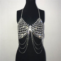 Silver Rhinestone Two Piece Set Tassel Low Cut Backless Grid Crop Top - Biwav