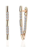 Stud Earrings Hot Luxury V Shape Earrings 5A Cubic Zirconia Stud Earring - Biwav