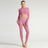 Crop Top and Leggings Gym Tracksuit 2pieces - Biwav