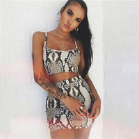 Snake Print Two Piece Set Summer Sleeveless Bandage Crop Top Skirt set - Biwav