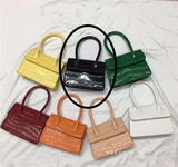 Mini Small Square bag 2020 Fashion New PU Leather - Biwav