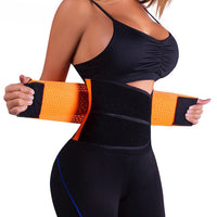 Adjustable Waist Support Lumbar Back Fitness Waist Trainer - Biwav